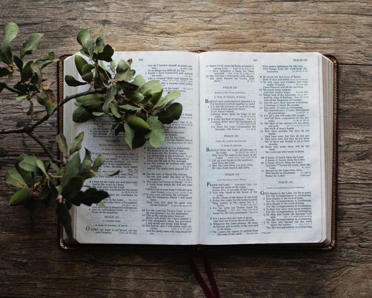 Reassurance and Presence